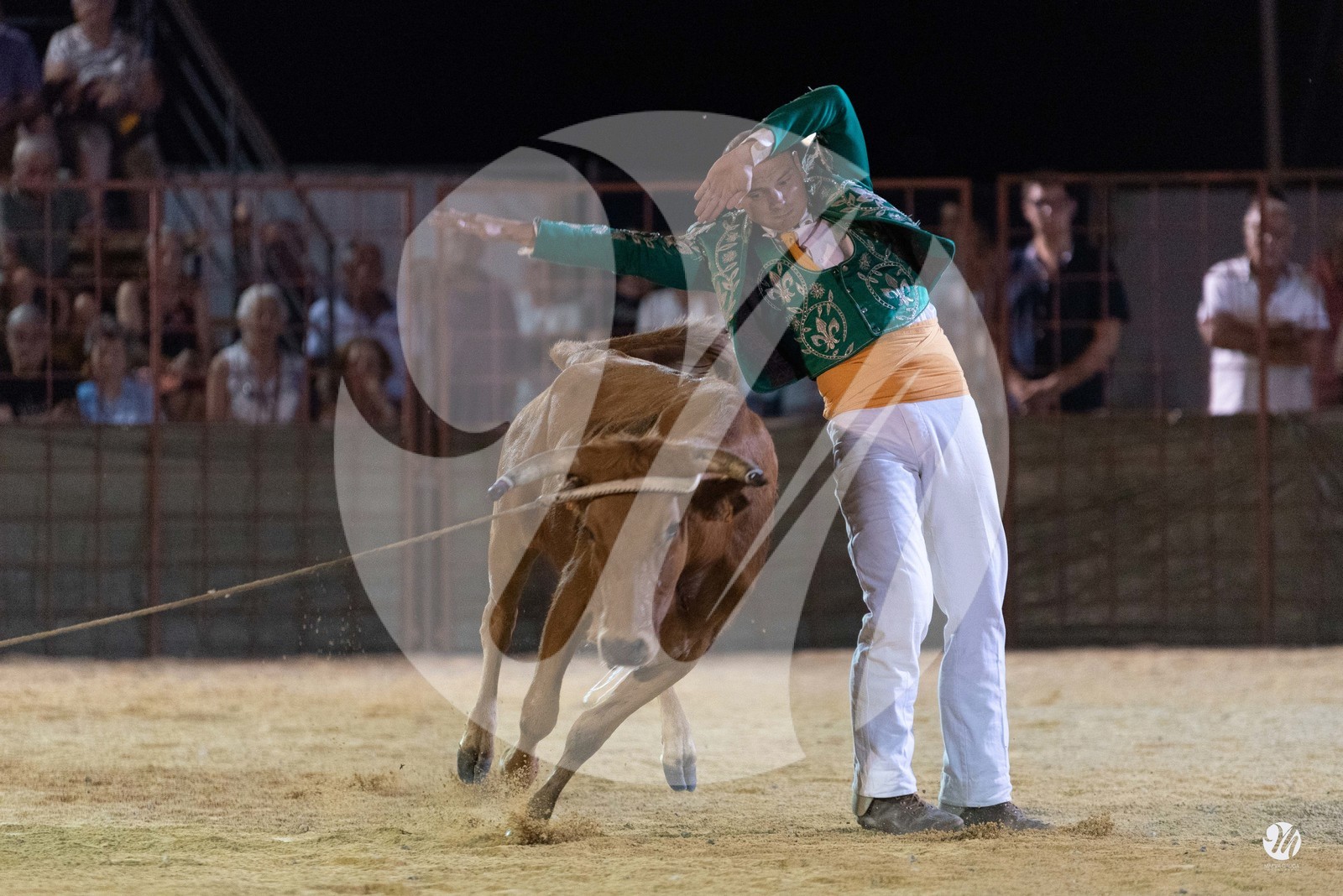 dsc_7764.jpg