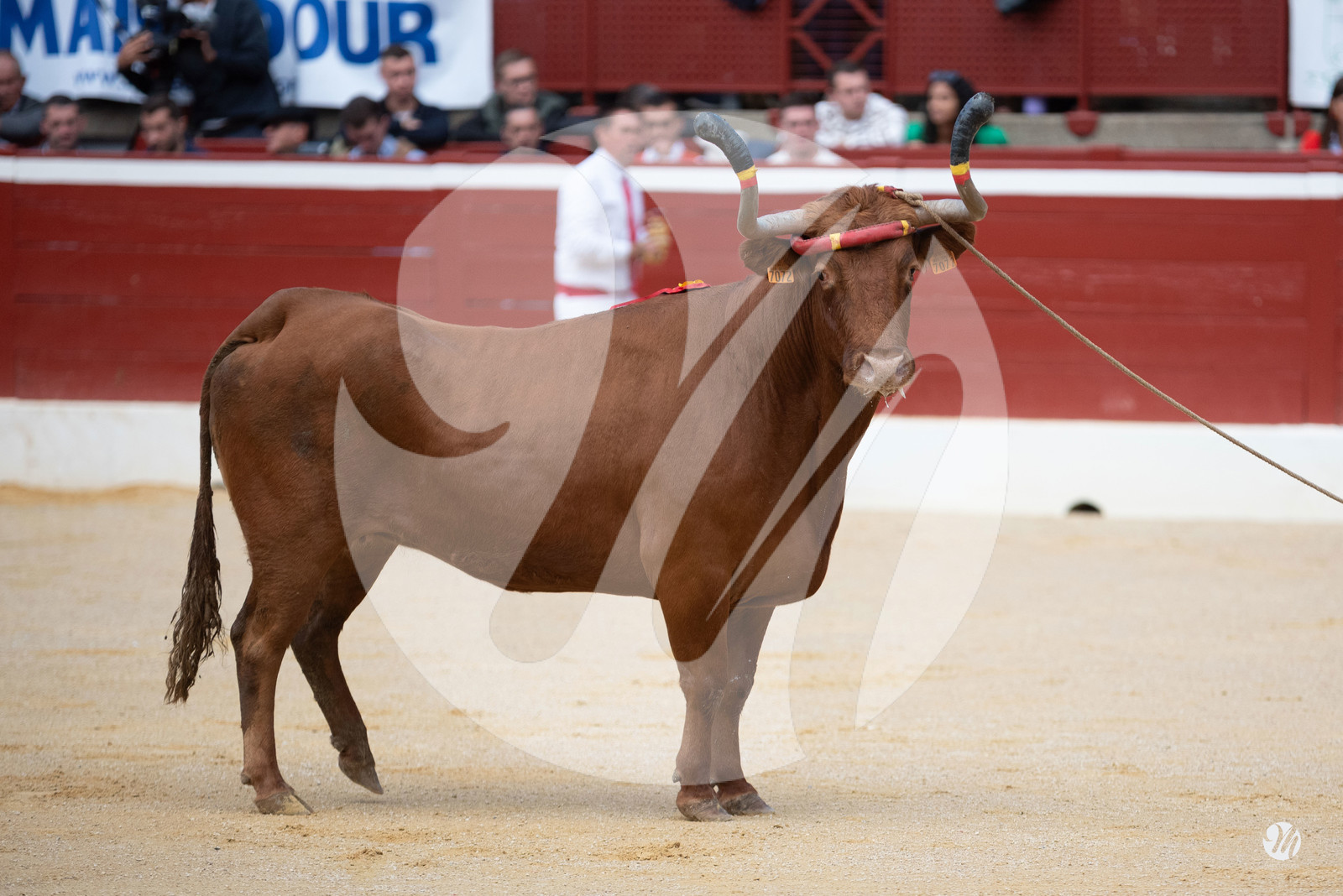 dsc_9776.jpg