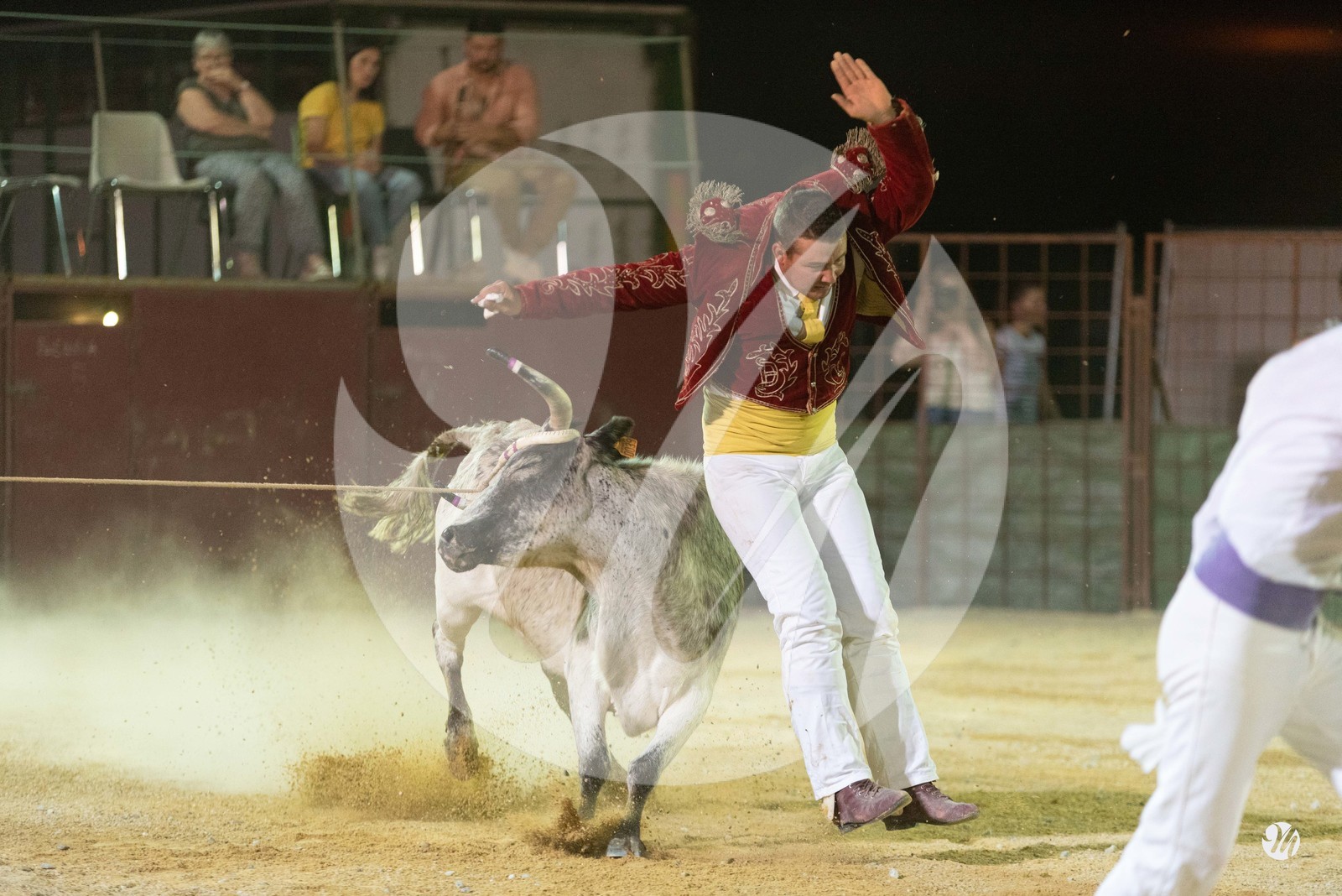 dsc_7552.jpg