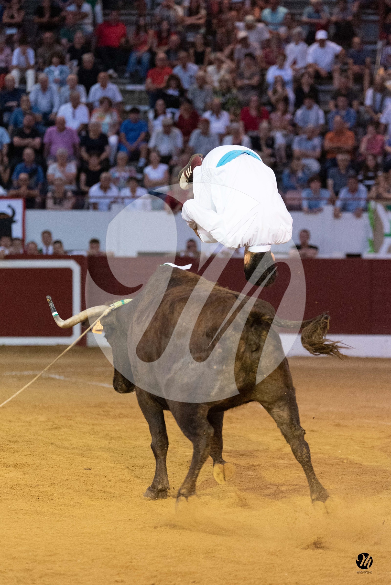 dsc_1622.jpg