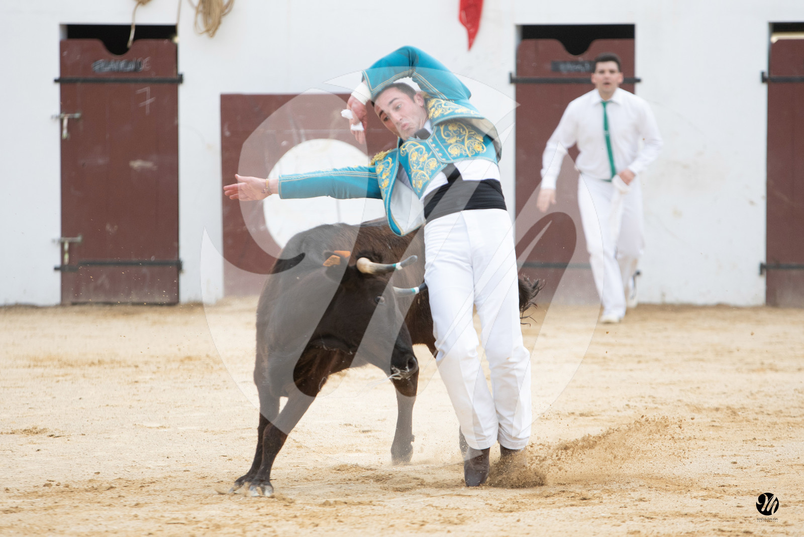 dsc_5964.jpg