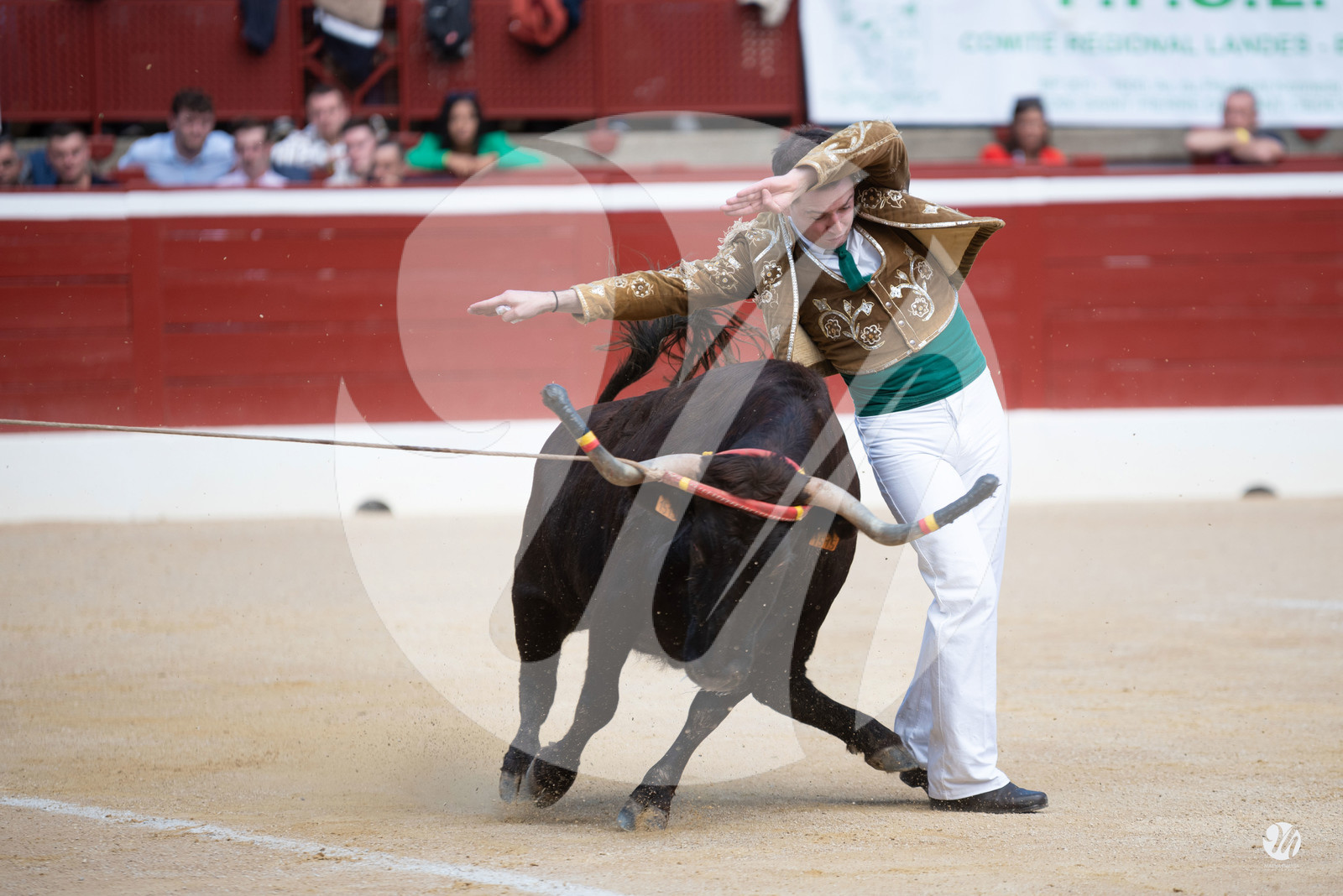 dsc_9178.jpg
