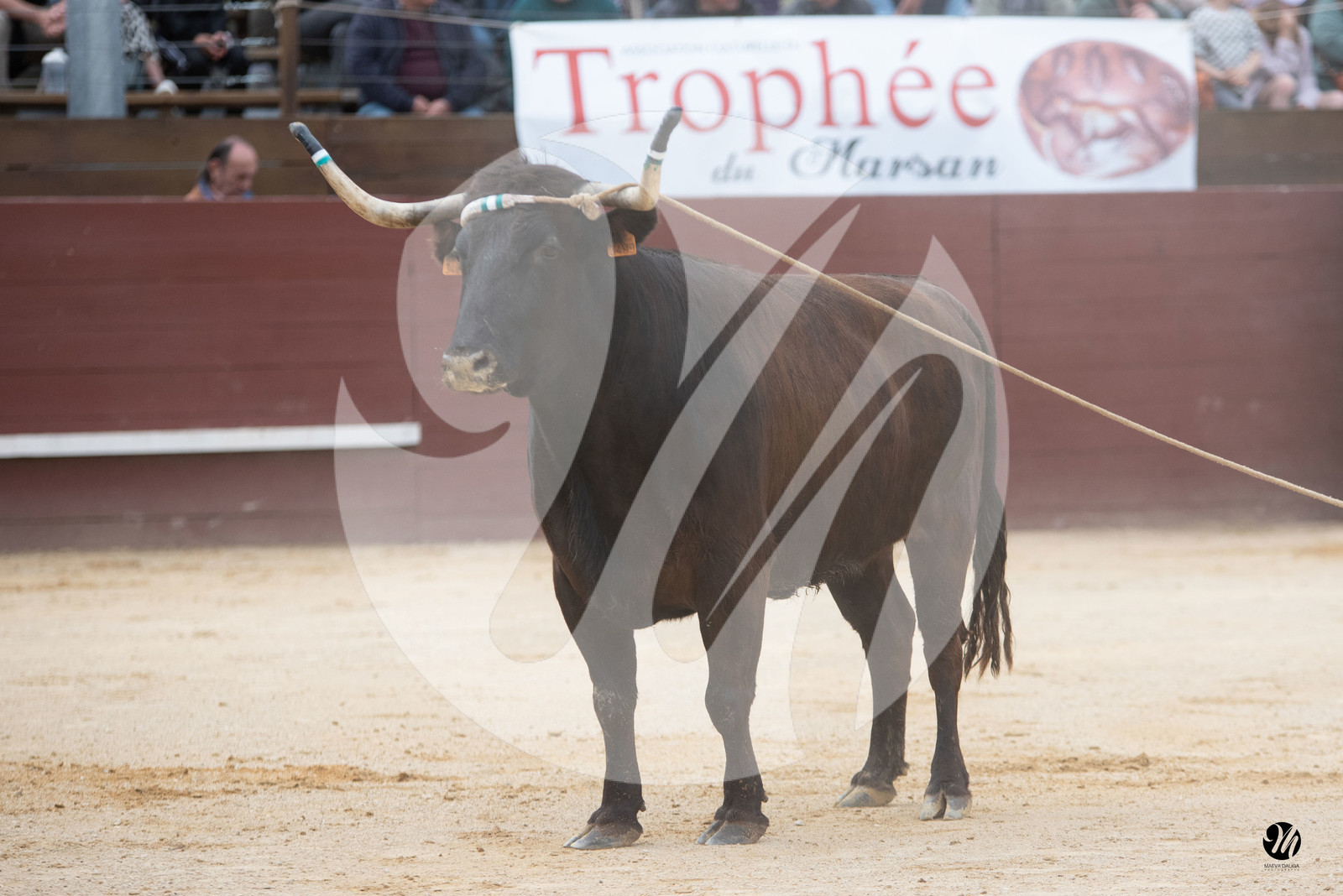 dsc_5885.jpg
