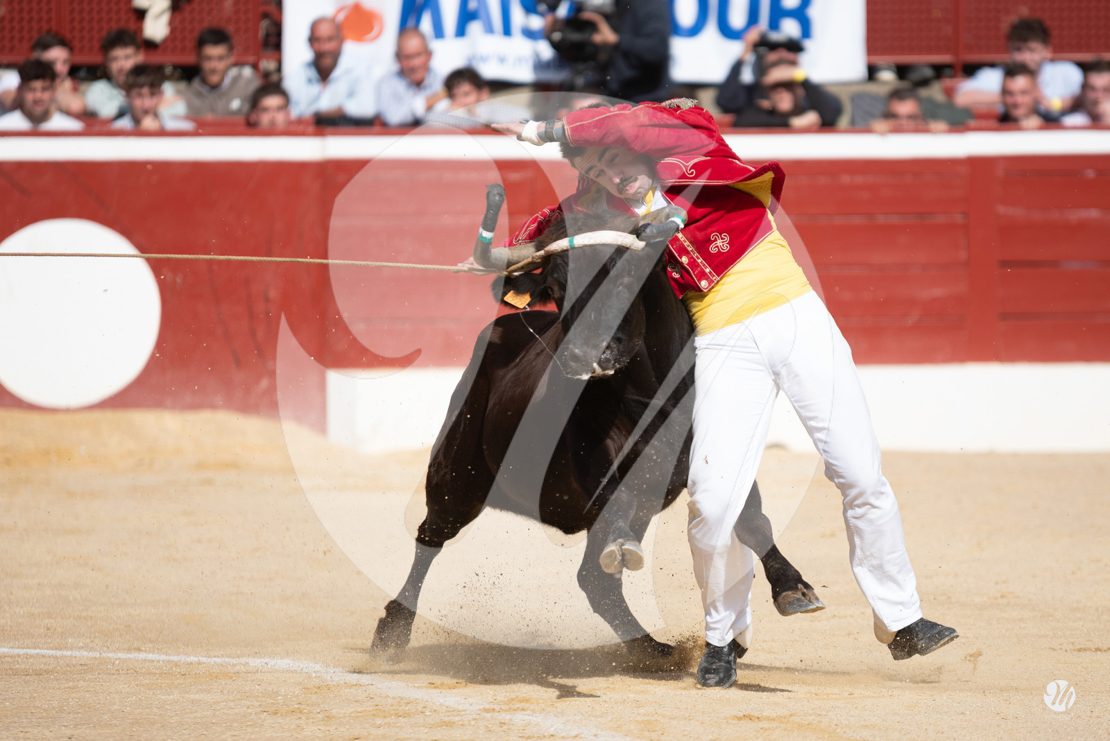 dsc_9334.jpg