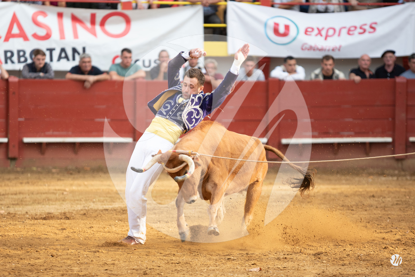 dsc_3495.jpg