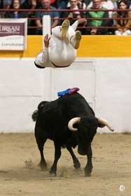 dsc_4445.jpg