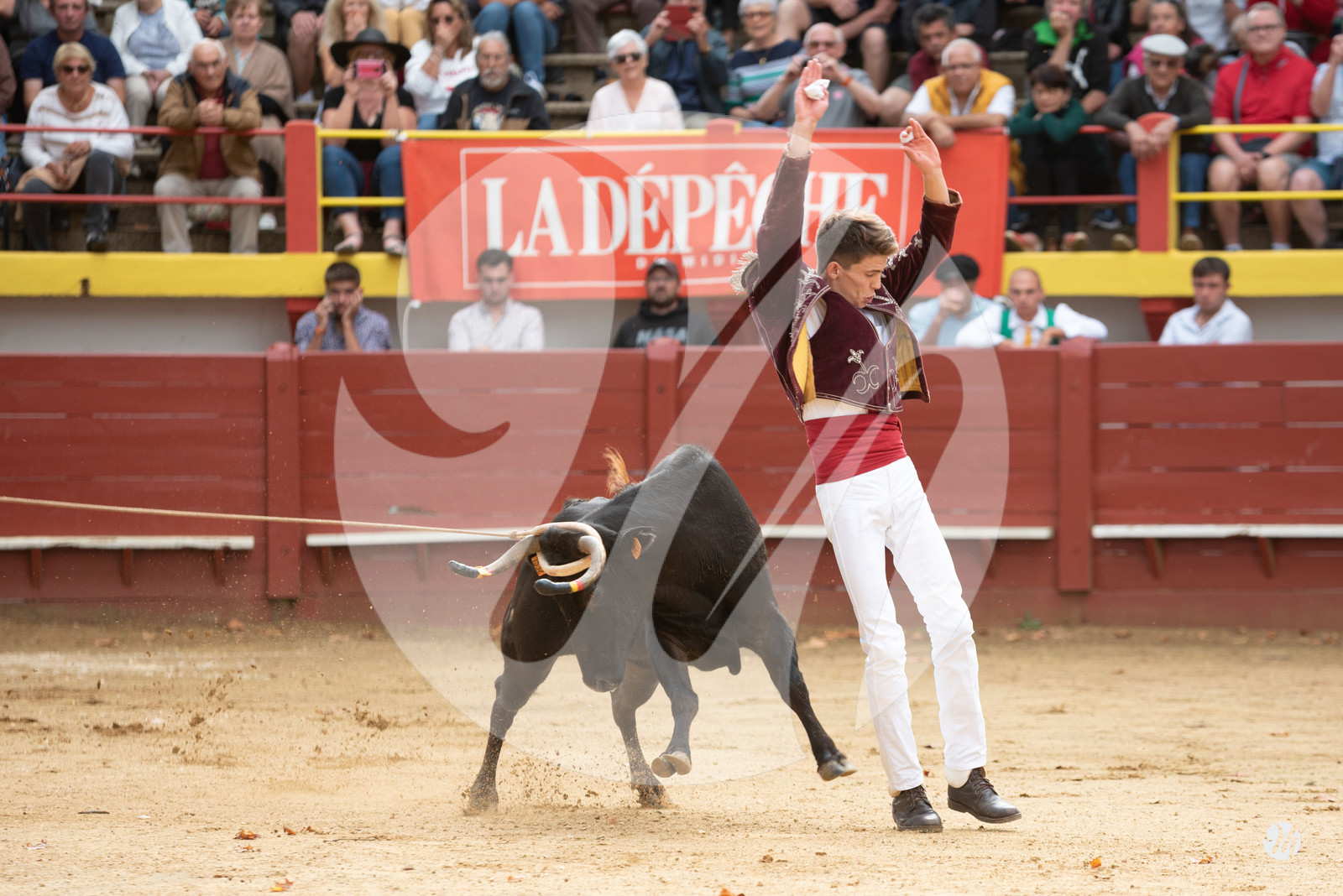 dsc_2814.jpg