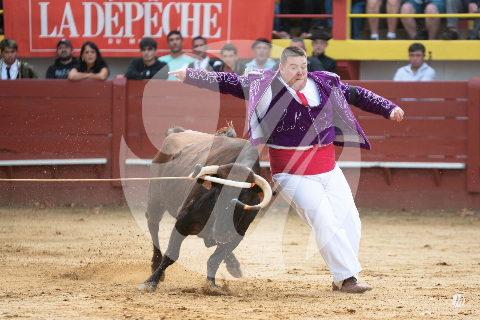 dsc_2892.jpg