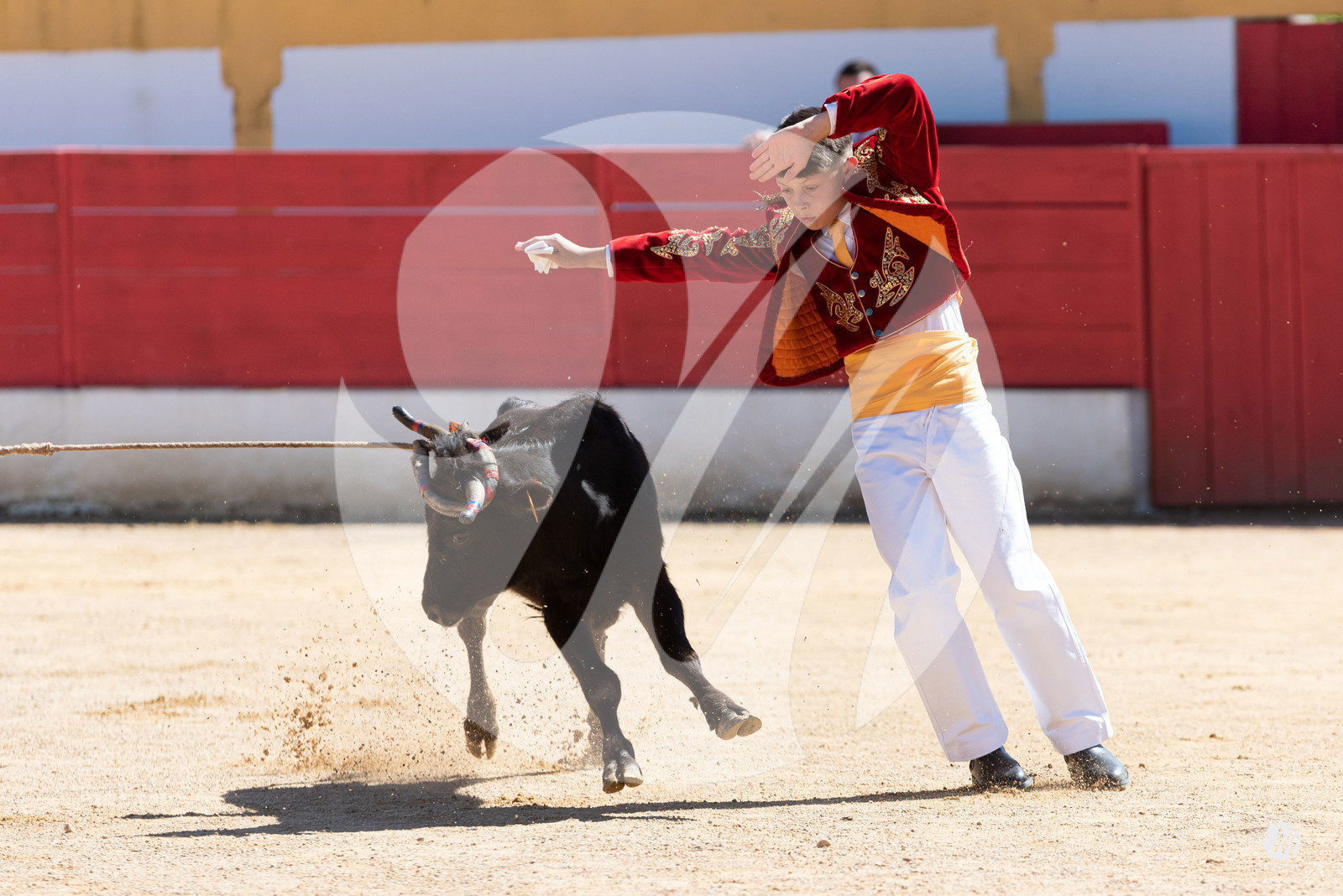 dsc_6154.jpg