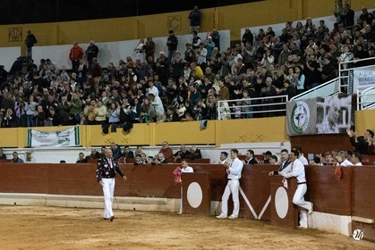 dsc_0379.jpg
