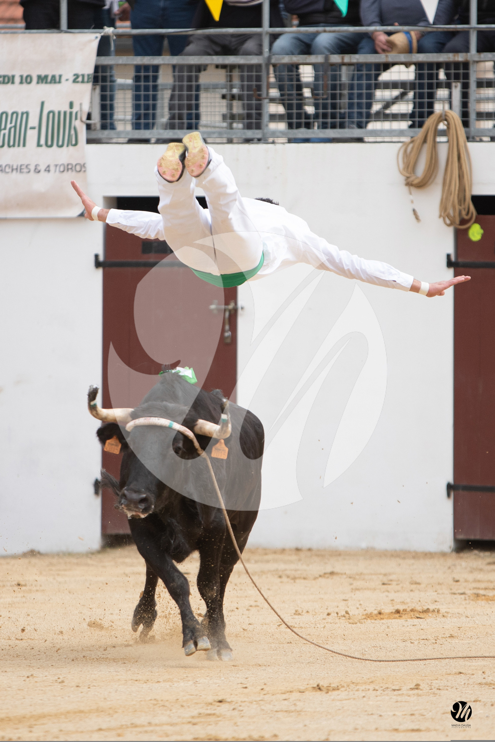 dsc_5778.jpg