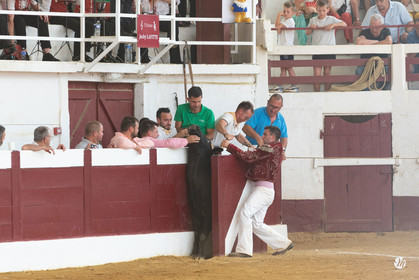 dsc_9536.jpg