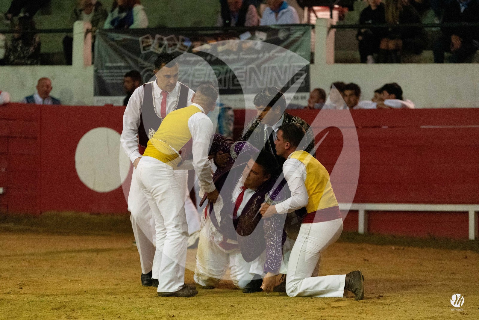 dsc_7575.jpg