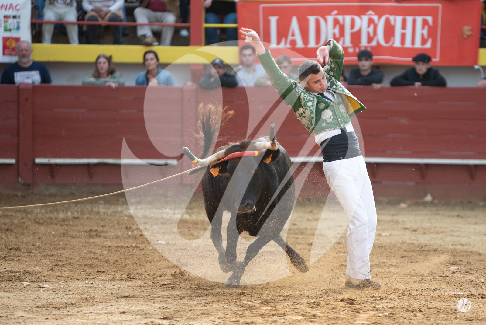 dsc_3190.jpg