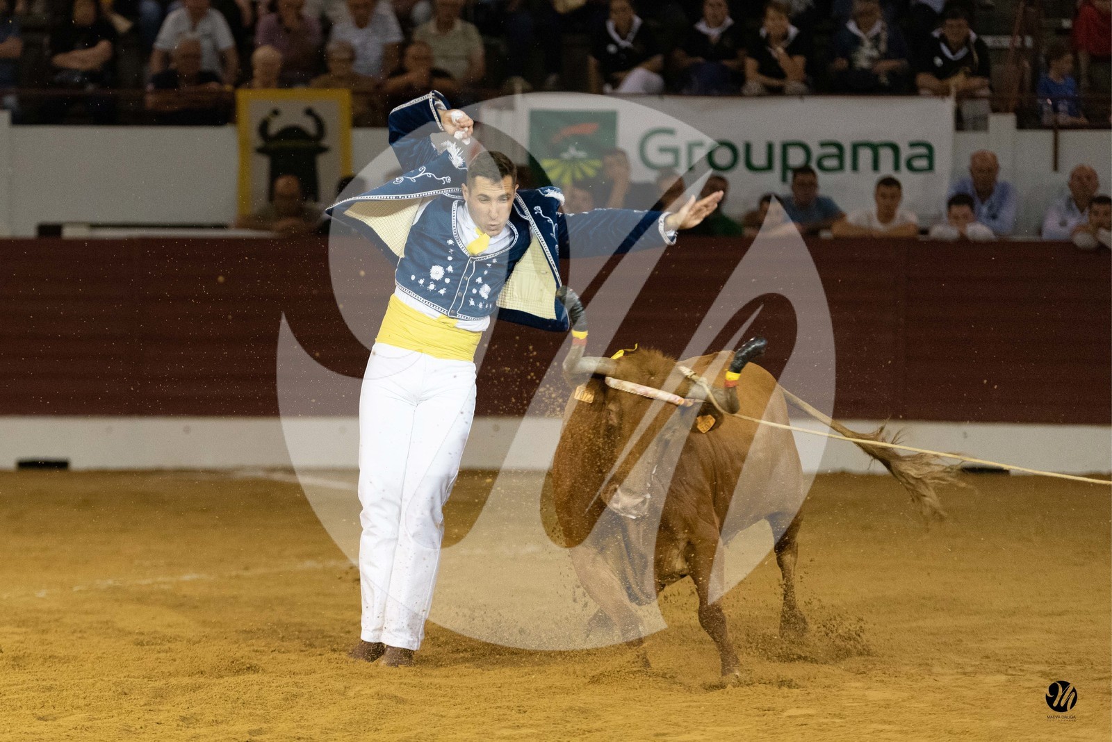 dsc_1771.jpg