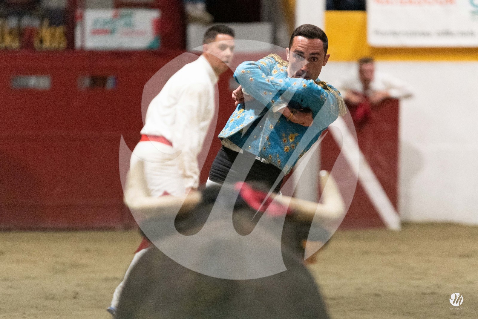 dsc_4390.jpg
