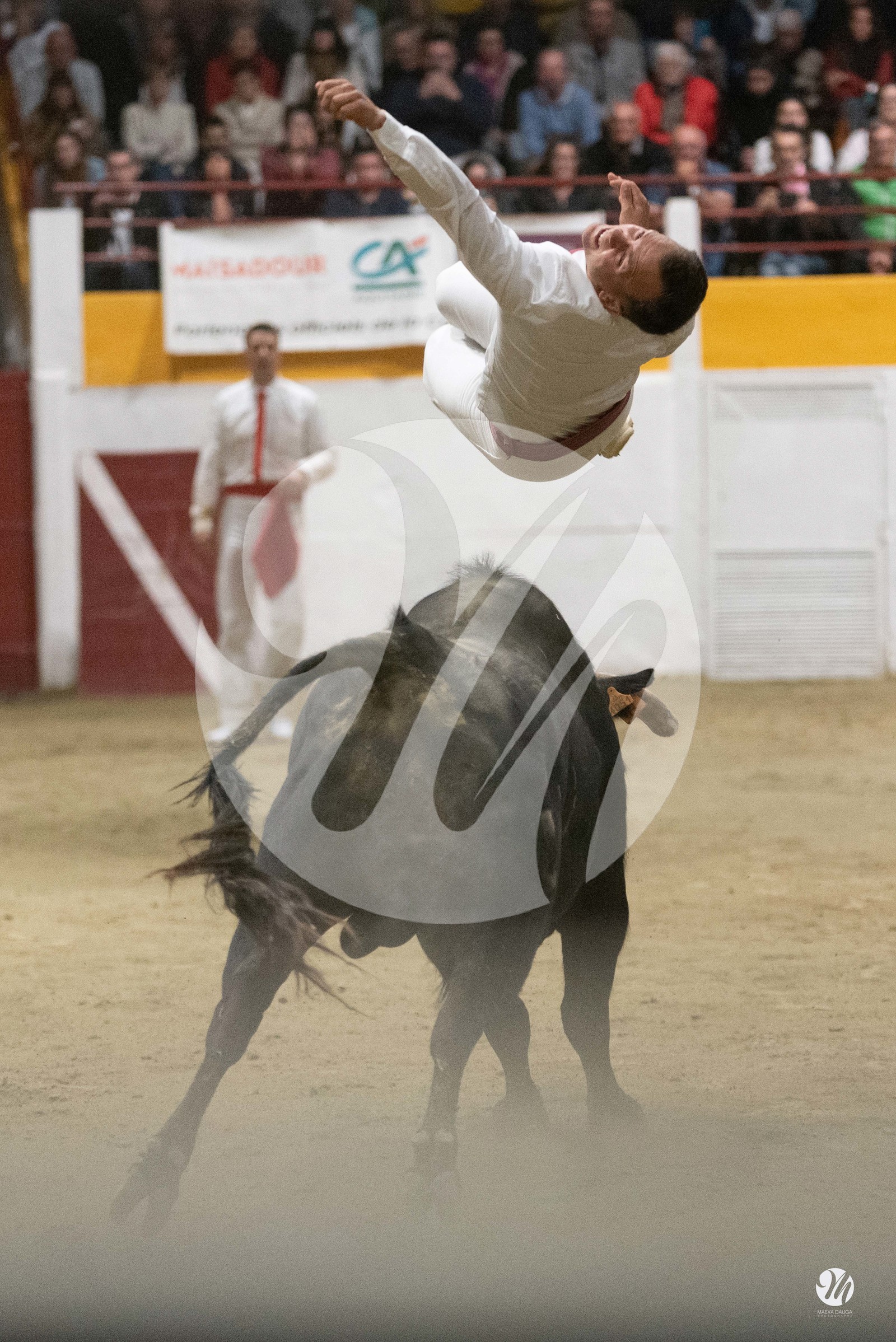 dsc_4717.jpg