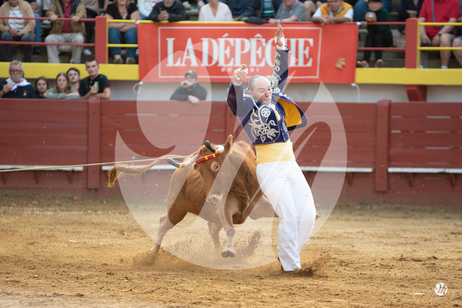 dsc_3342.jpg