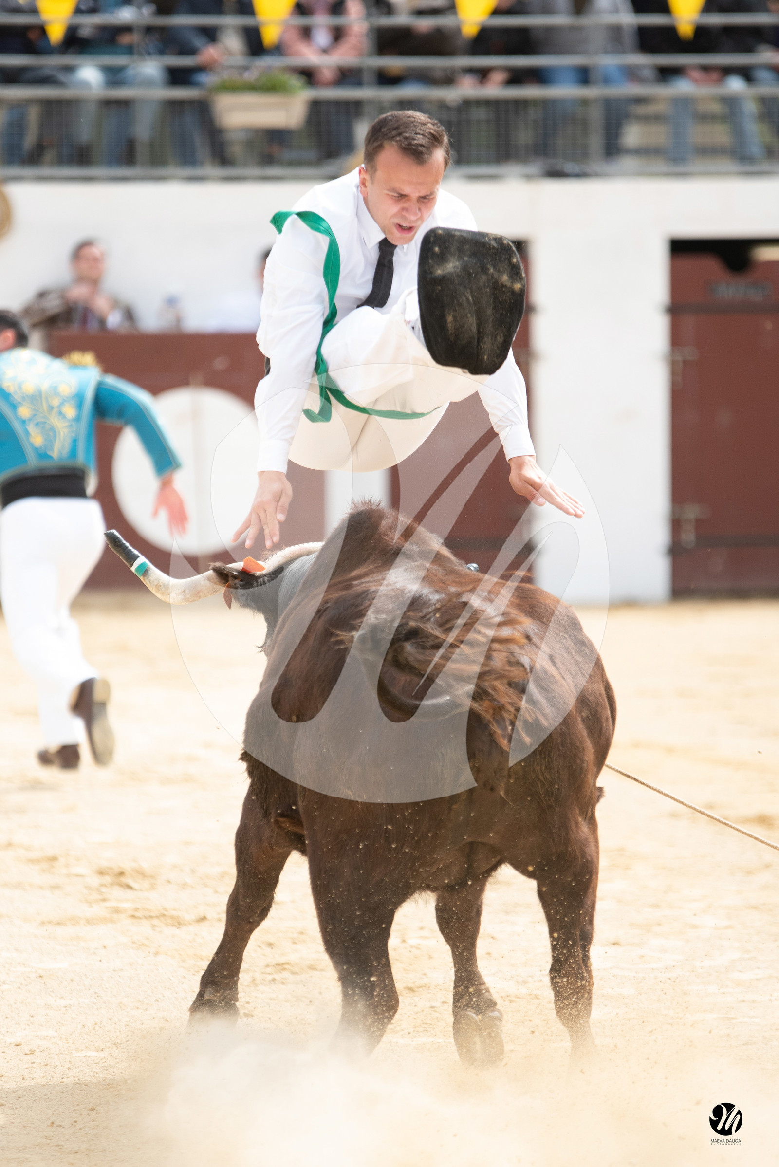dsc_5691.jpg