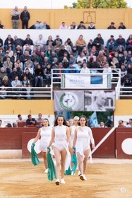 dsc_9728.jpg