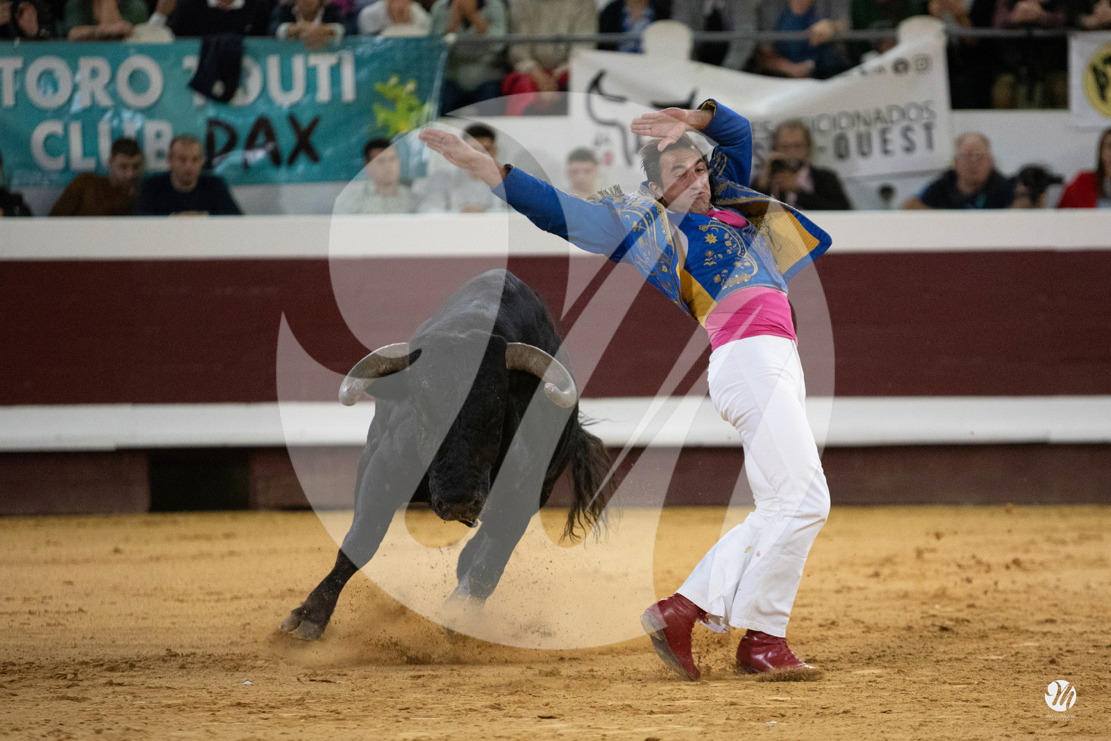 dsc_2195.jpg