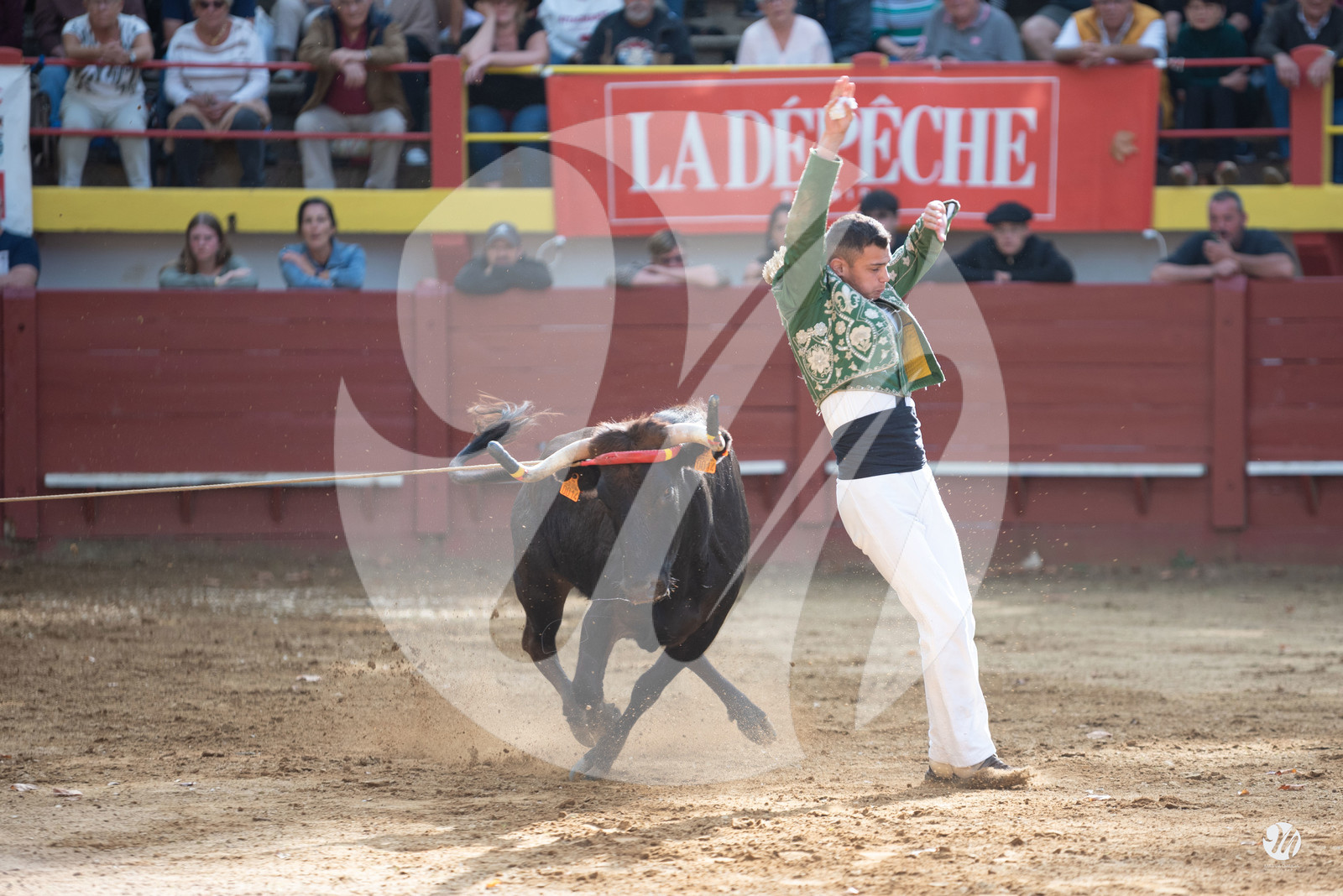 dsc_3184.jpg