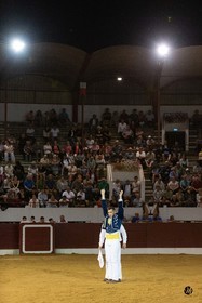 dsc_1911.jpg