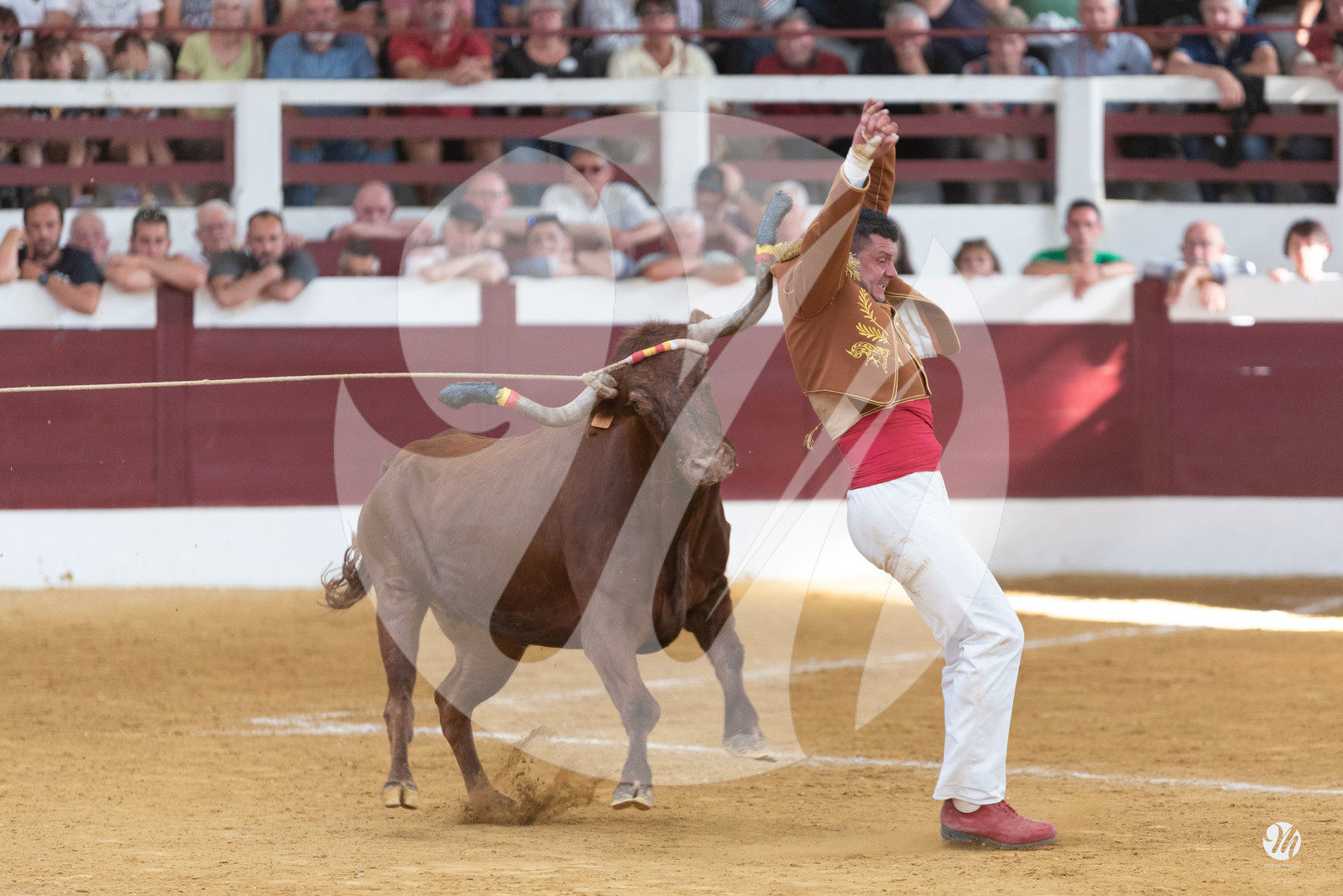 dsc_9916.jpg