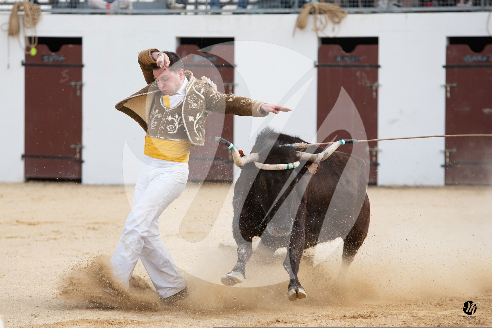 dsc_6322.jpg