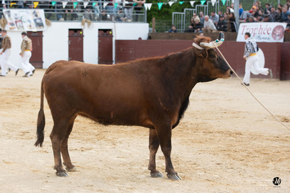 dsc_6278.jpg