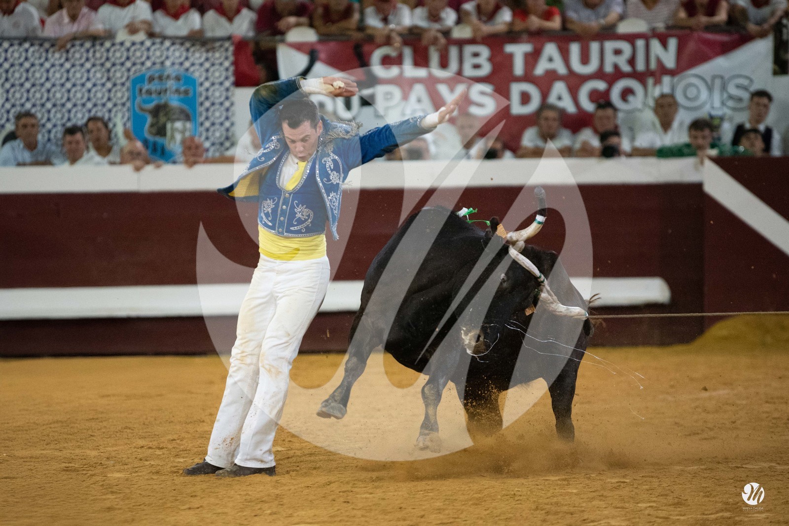 dsc_5689.jpg