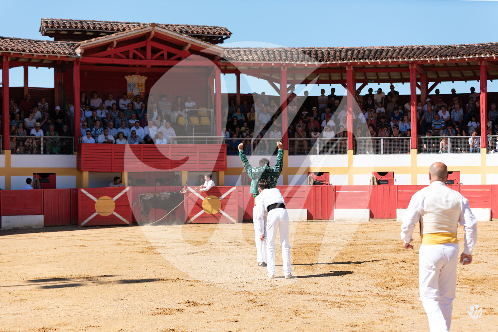 dsc_6262.jpg