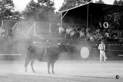 dsc_6116.jpg-nb.jpg