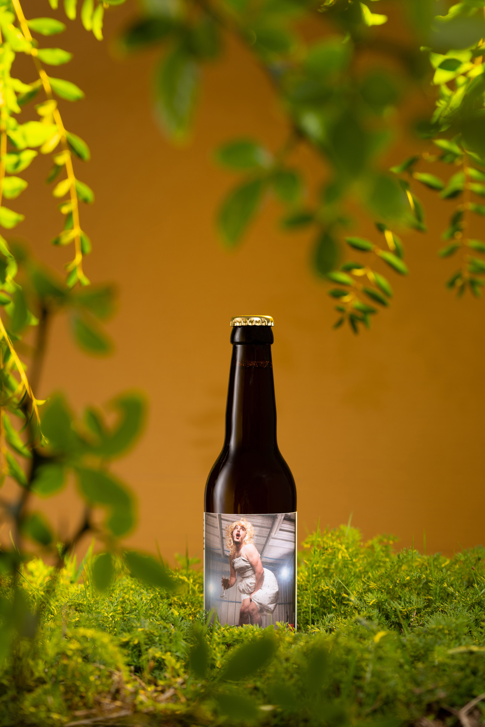 bieres-cervoiserie-318.jpg