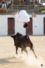 dsc_5913.jpg