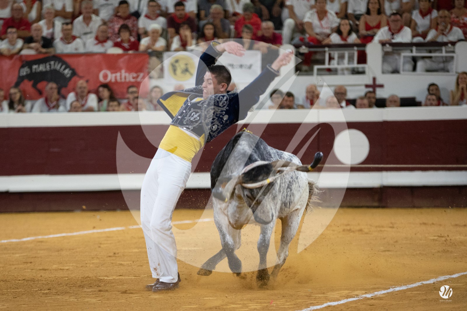 dsc_5027.jpg